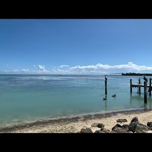 Meet your Posher, Lorrie